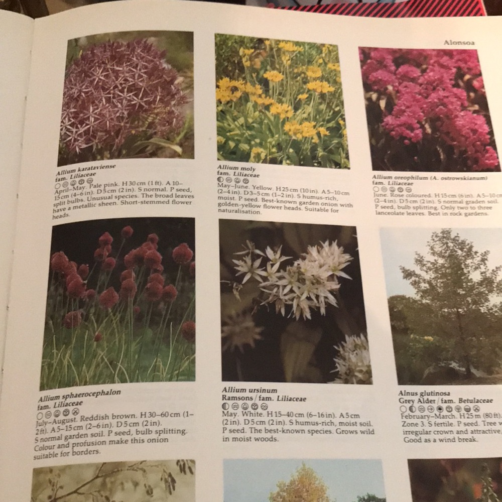Garden Book - Picture 4 of 4